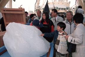 Whaling ships on display at Nagasaki port